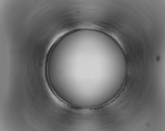 X0000091581139200708201007