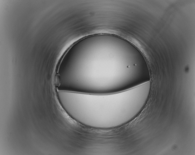 X0000091581140200708201007