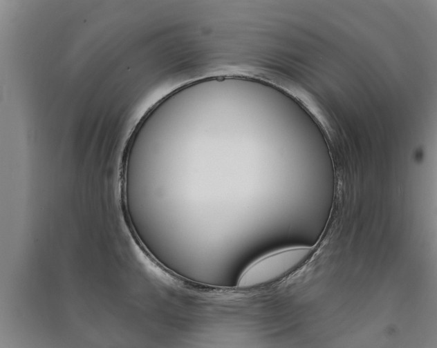 X0000091581143200708201008