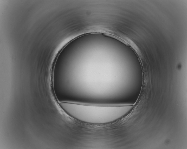 X0000091581144200708201008