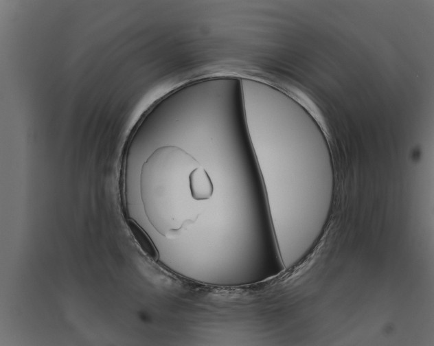 X0000091581146200708201008