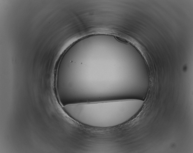 X0000091581147200708201008