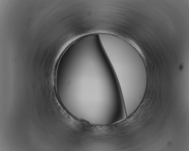 X0000091581148200708201008