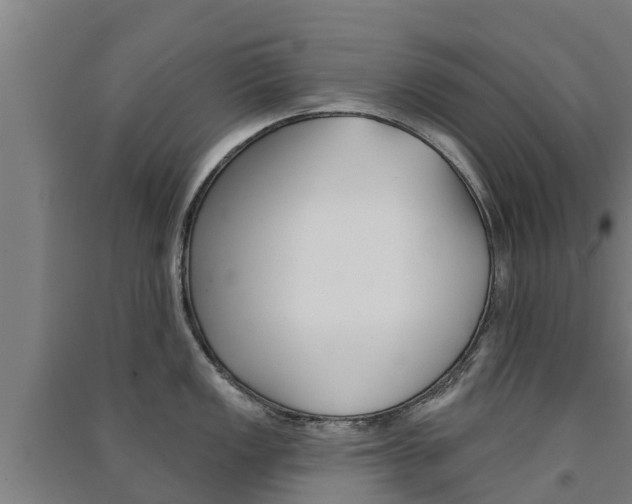 X0000091581149200708201008