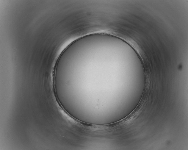 X0000091581151200708201008