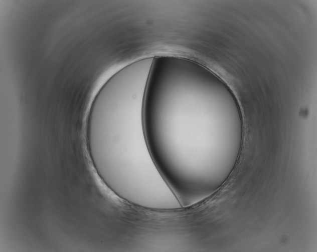 X0000091581152200708201008