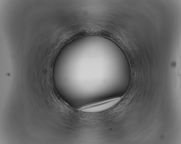 X0000091581153200708201007