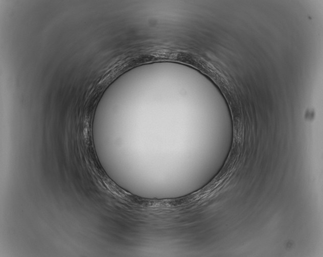 X0000091581154200708201007