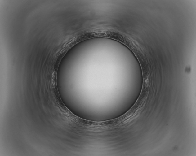 X0000091581156200708201007