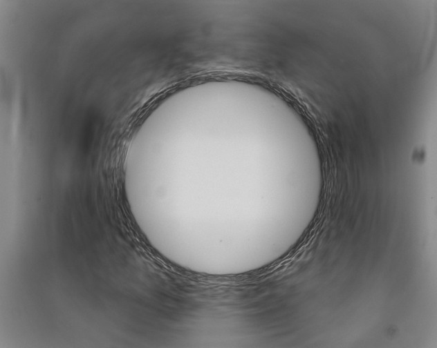 X0000091581157200708201007