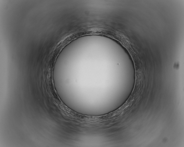 X0000091581158200708201007