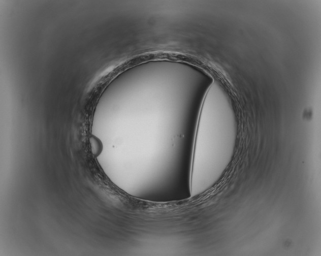 X0000091581159200708201007