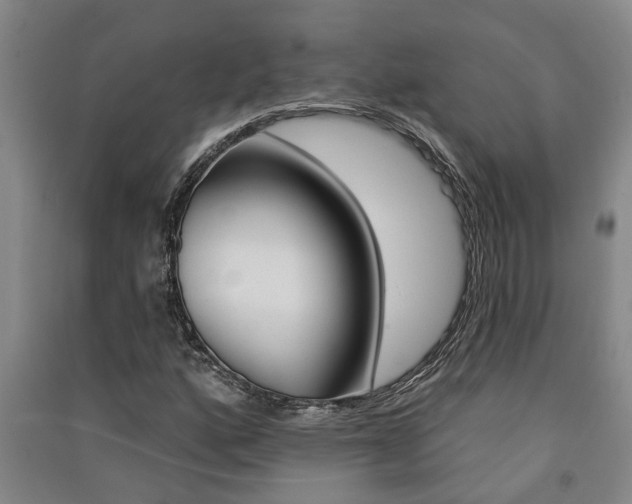 X0000091581160200708201007