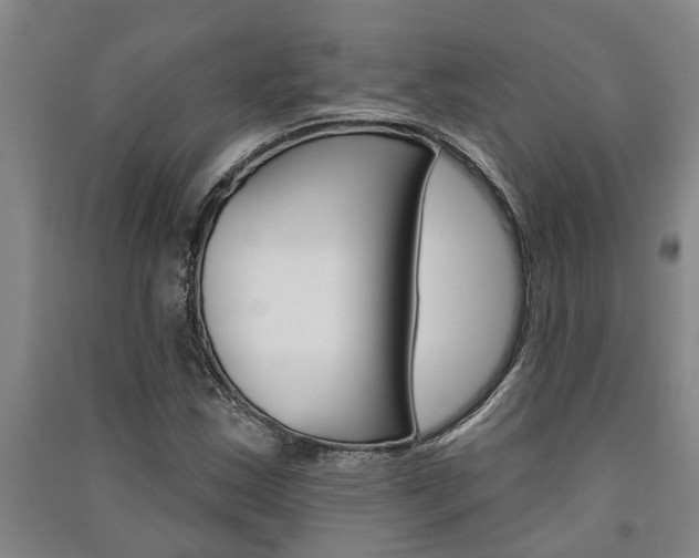 X0000091581163200708201007