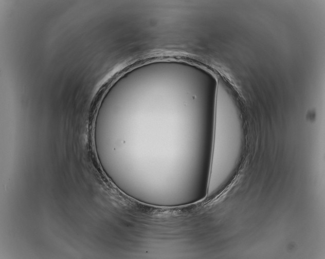 X0000091581165200708201007
