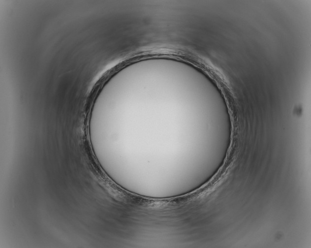 X0000091581166200708201007