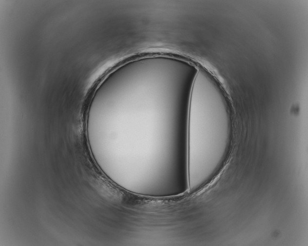 X0000091581167200708201007