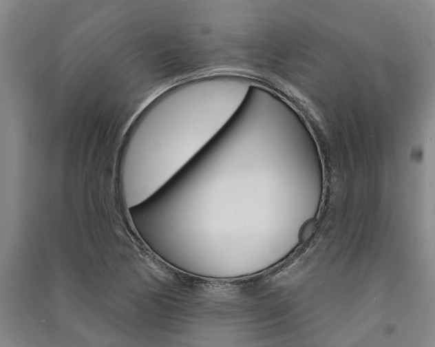 X0000091581170200708201007