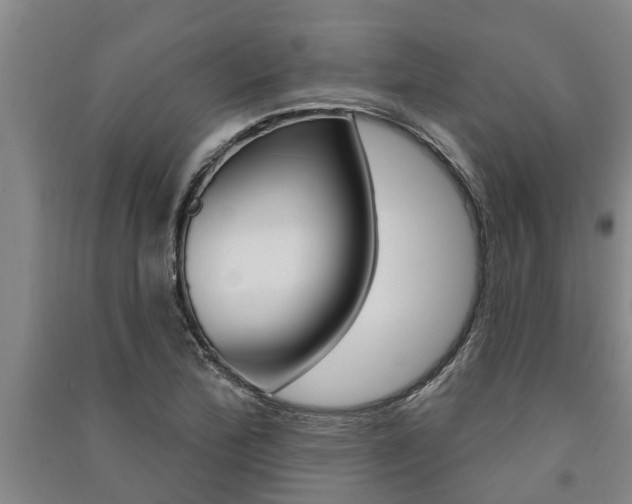 X0000091581172200708201007