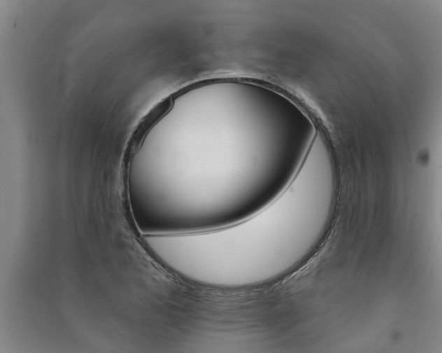 X0000091581173200708201007