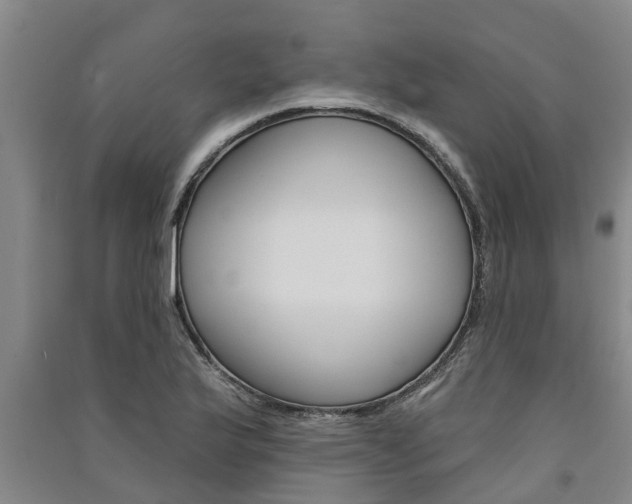 X0000091581175200708201007