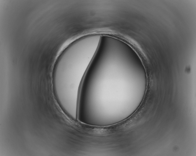 X0000091581176200708201007