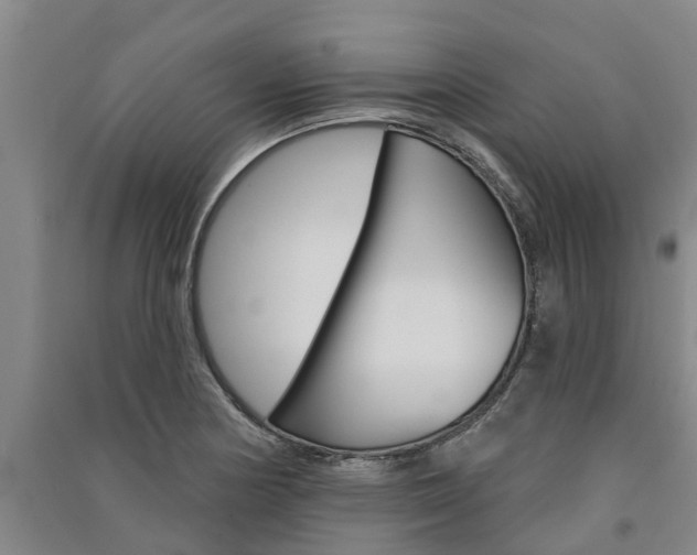 X0000091581178200708201007
