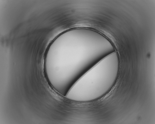 X0000091581179200708201007