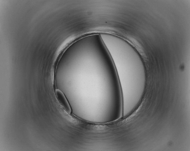 X0000091581180200708201007