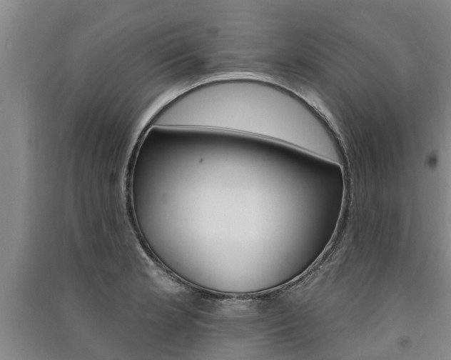 X0000091581181200708201007