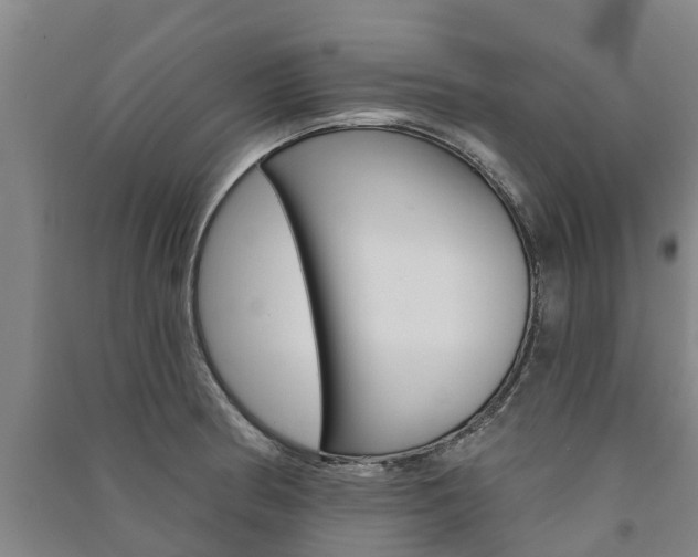 X0000091581186200708201007