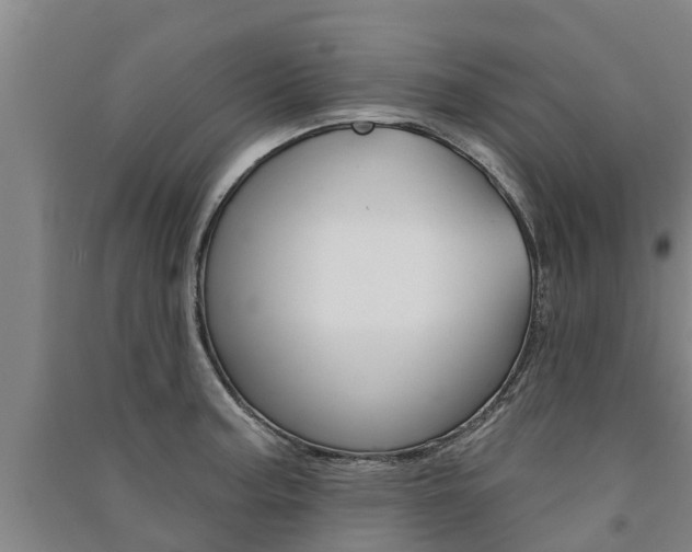 X0000091581187200708201007