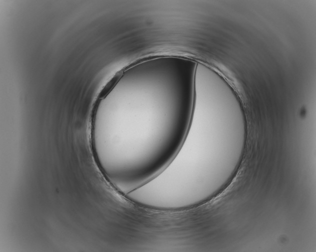 X0000091581188200708201006