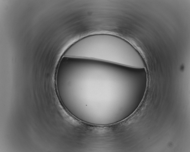 X0000091581189200708201006