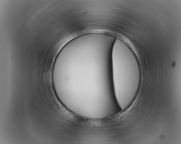 X0000091581194200708201006