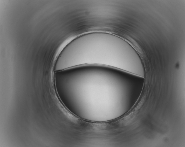 X0000091581196200708201006