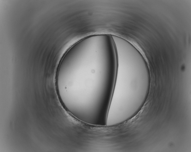 X0000091581197200708201006