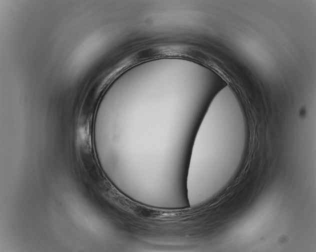 X0000091581198200708201006