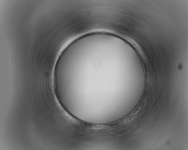 X0000091581199200708201006