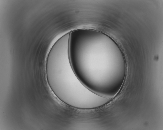 X0000091581200200708201006