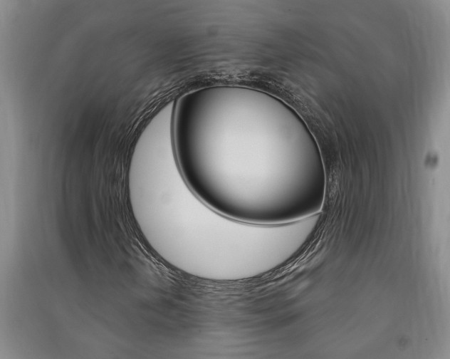 X0000091581202200708201006