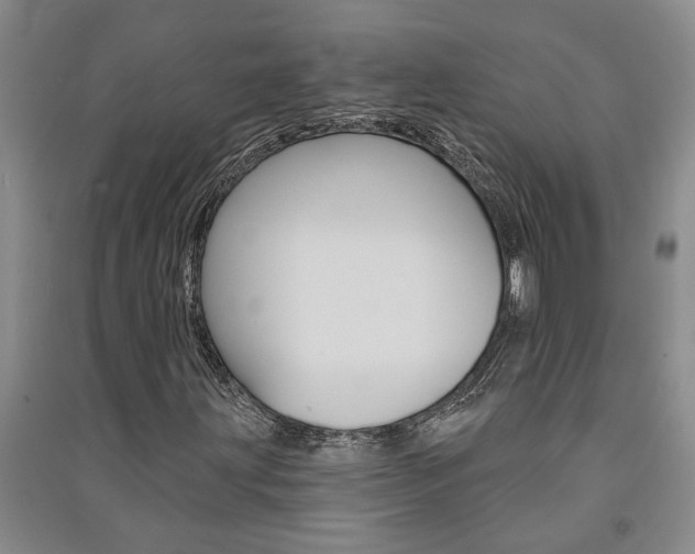 X0000091581203200708201006