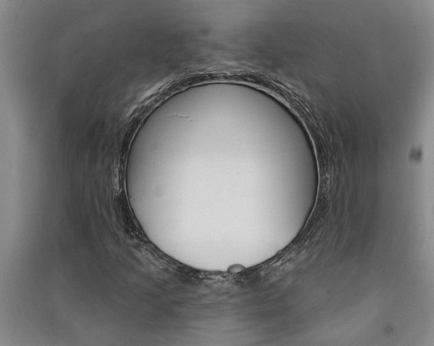X0000091581205200708201006