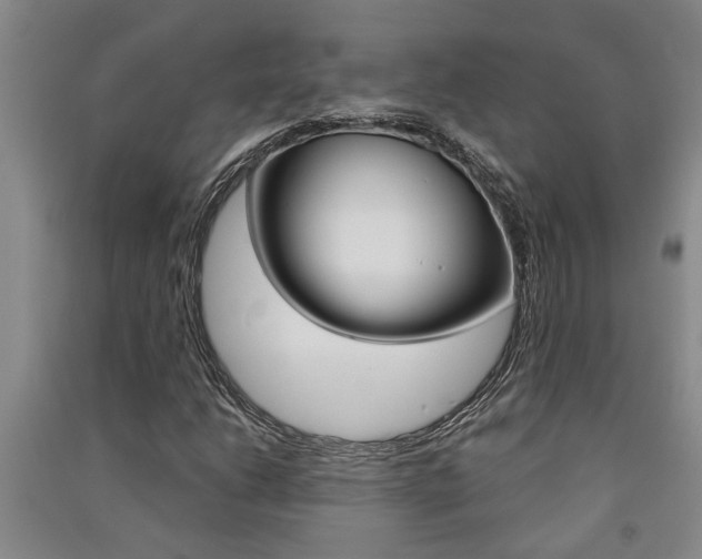 X0000091581206200708201006
