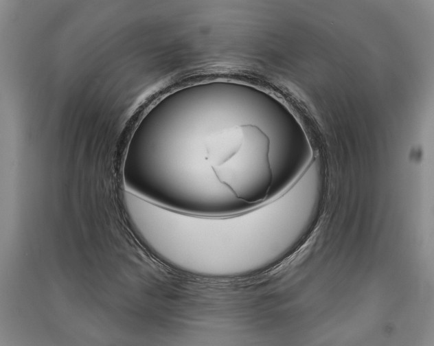 X0000091581210200708201006