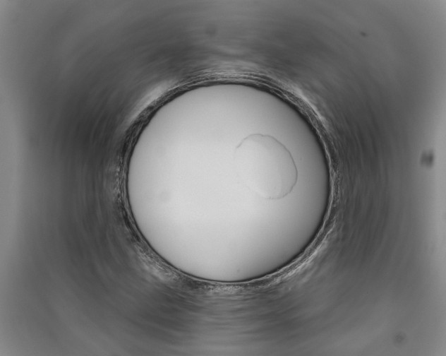 X0000091581211200708201006