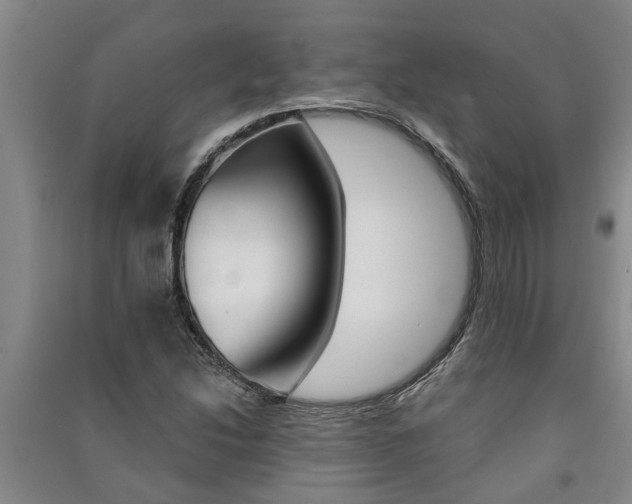 X0000091581214200708201006