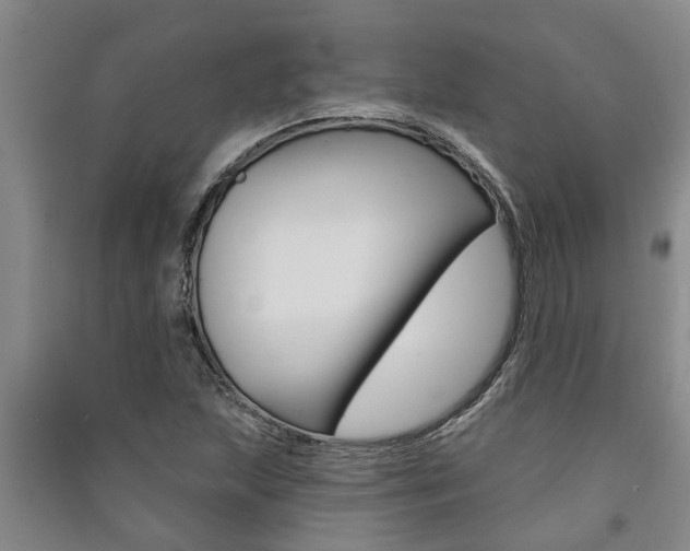 X0000091581215200708201006