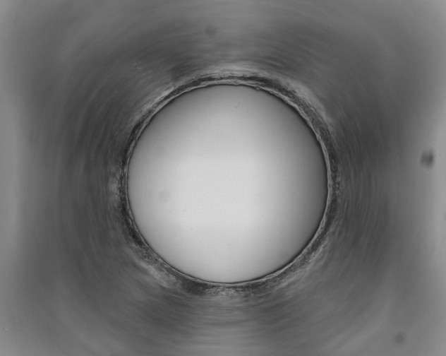 X0000091581217200708201006