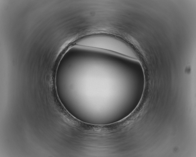 X0000091581218200708201006
